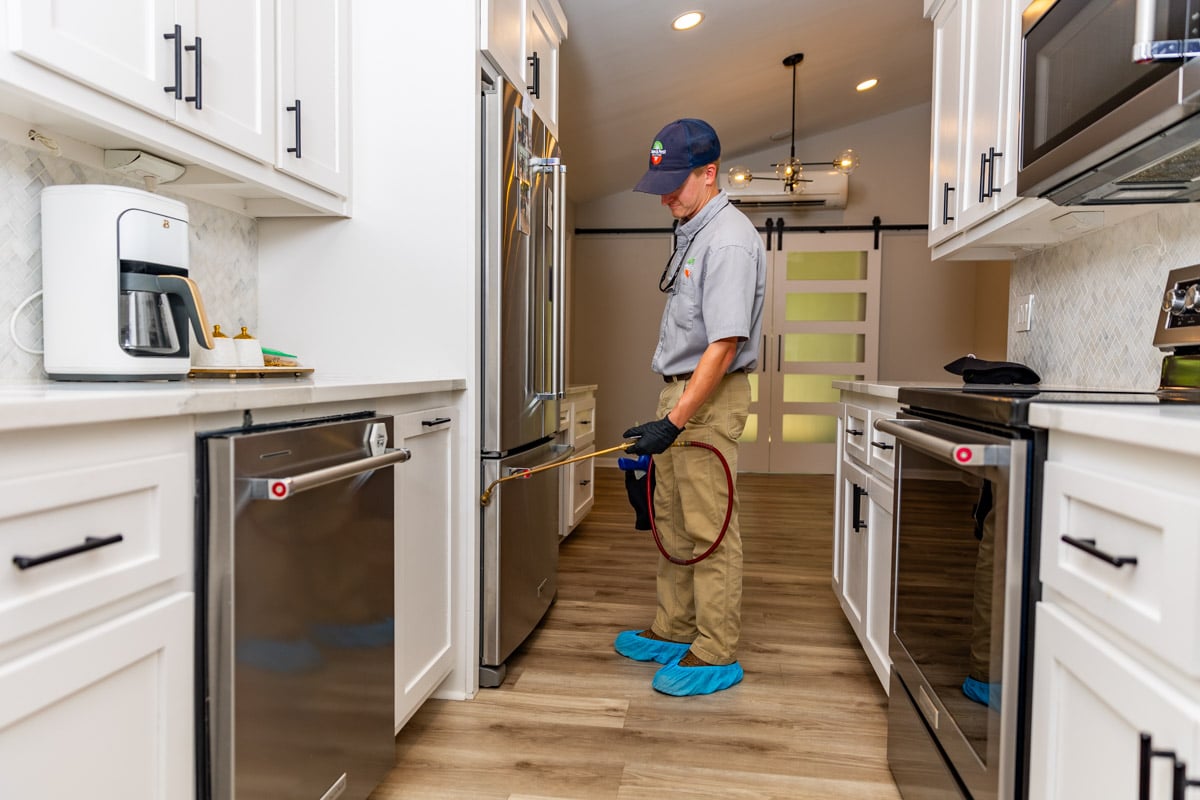 Pest Control in Memphis, TN and N. Mississippi Lawn & Pest Solutions